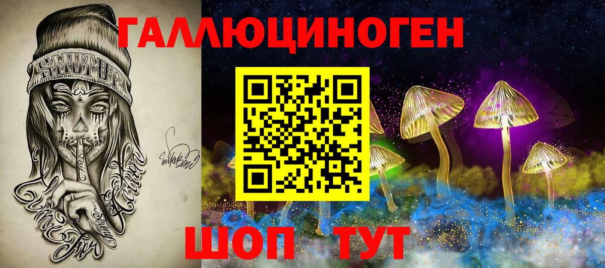Миллерово  Псилоцибиновые грибы Psilocybe  Вход с VPN  Псилоцибиновые грибы прущие грибы 